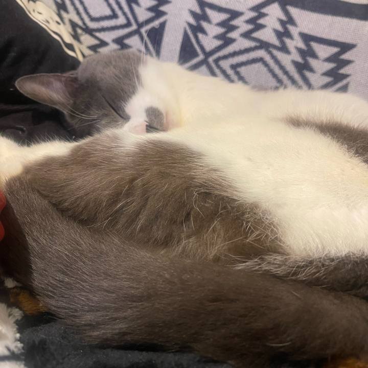 2c43db57 7ce2 404f a1cd c636d1890879 1744556623791