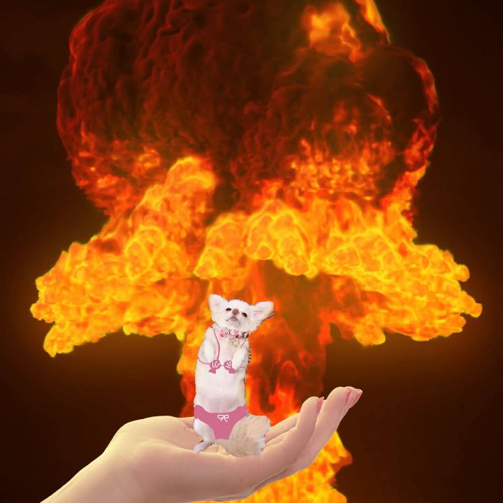 2c43e849 574b 4c9d 8ac8 68ac063bf92b 1692798460197