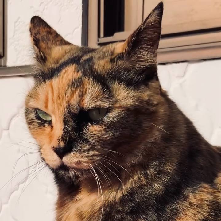 2c444e4d fdbc 4369 84dd d9d586a8e804 1737426023148