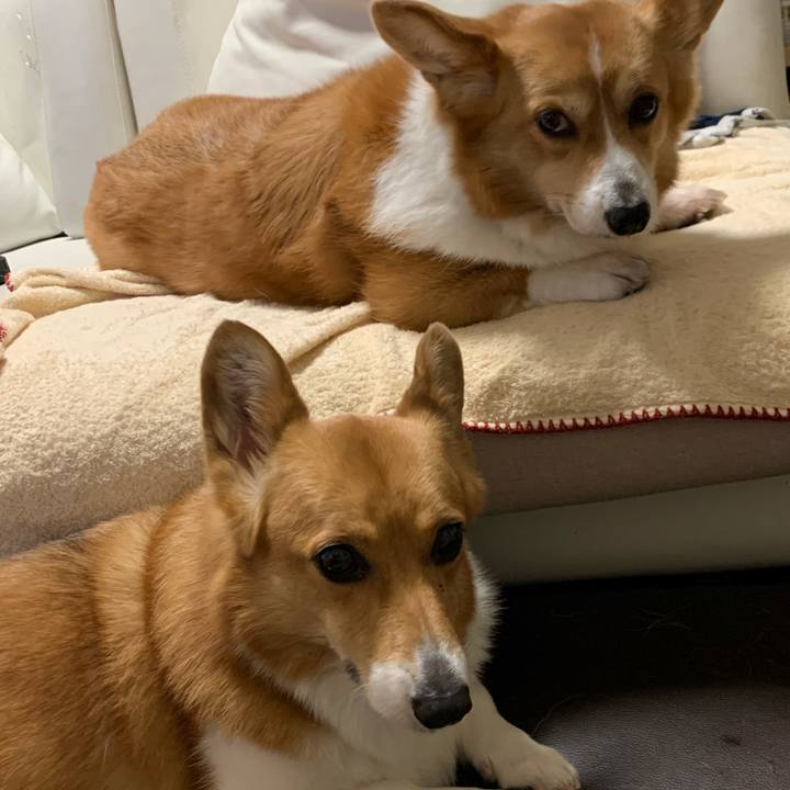 2c44709b cdbf 4f1f ba03 3c583c8e20c6 1591048023802