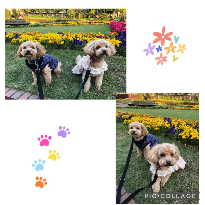 2c447329 79c1 4c02 9035 7336b2ff7251 1681032559039