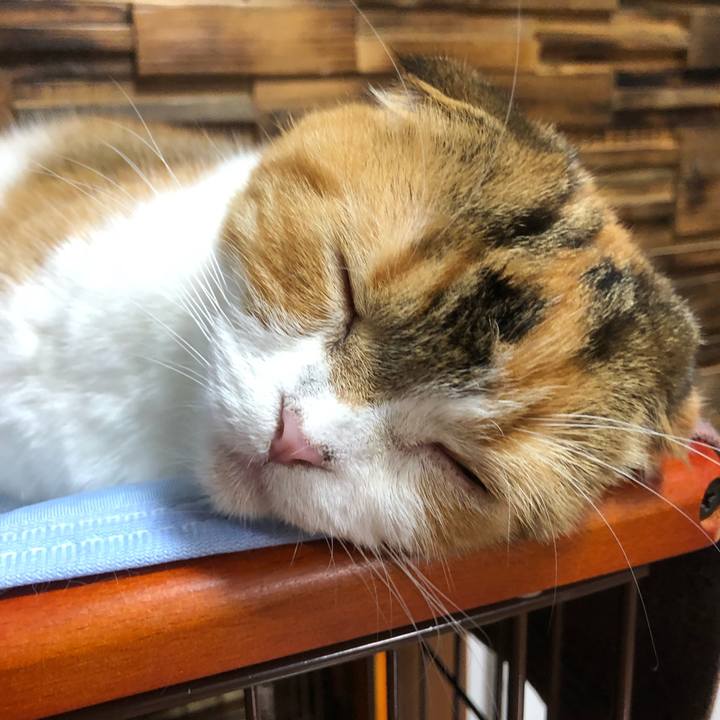 2c44d788 fcf9 454e b0e5 c314d4271f67 1633010302627