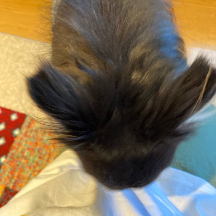 2c44e7b3 b23c 49df ab1a 292676ad12a9 1714840206198