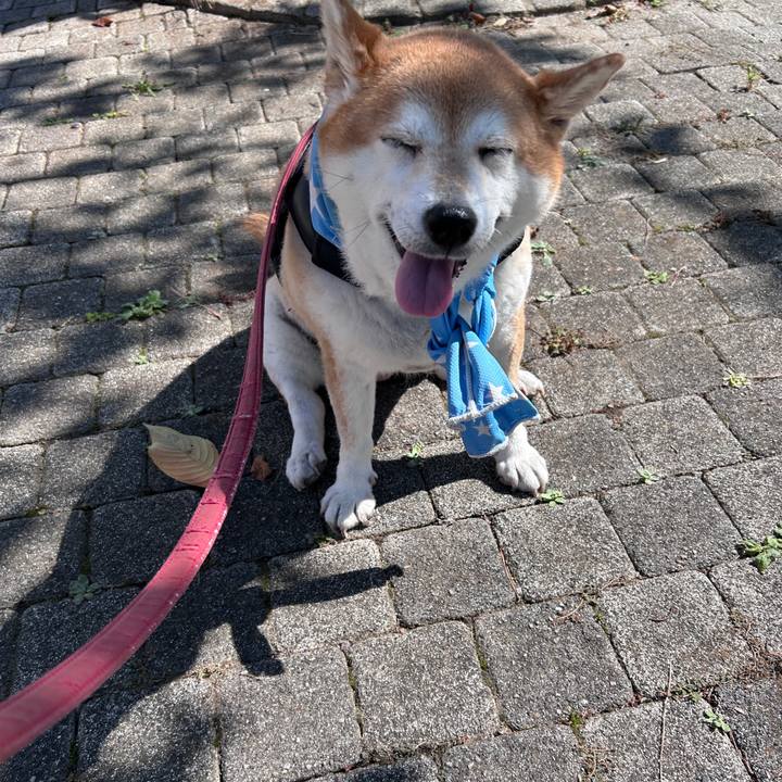 2c45941c e155 4718 b021 2f3e5c1412bb 1727841063164