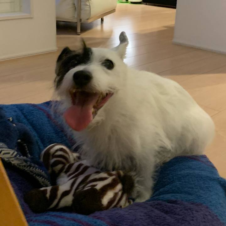 2c45c736 47db 4b8f a48e 51f948d2e29a 1754388030746