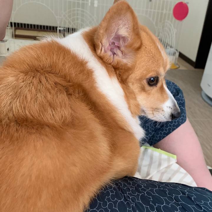 2c4635bc 2439 4104 b2f7 25297a73fe42 1564204385032