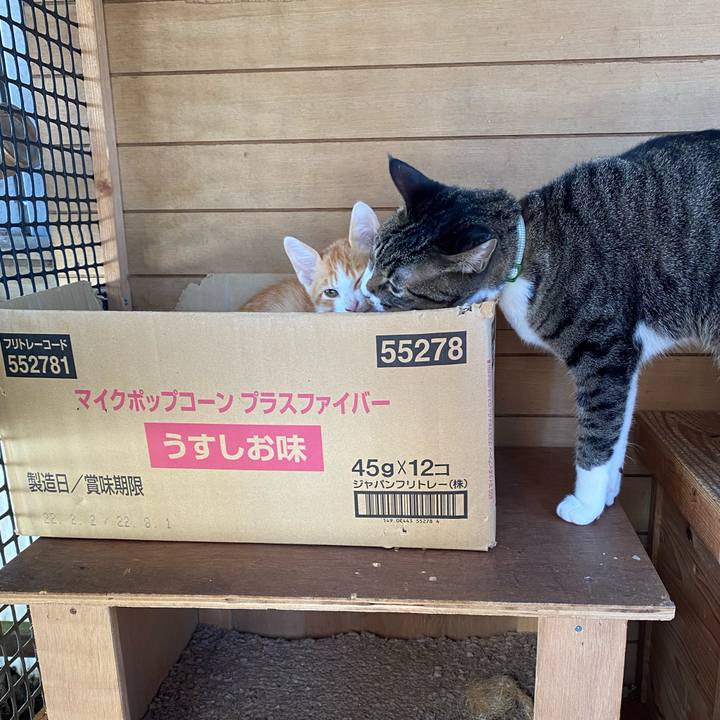 2c4636d8 16cc 4458 bbc2 2cb4789a12e4 1666224457471