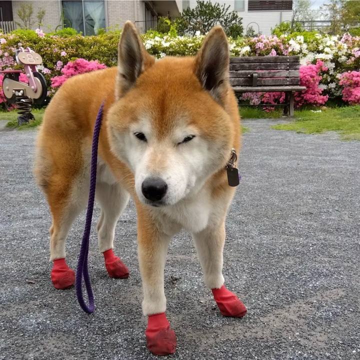 2c466c13 7a65 4207 8027 69af6e4059eb 1726642162558