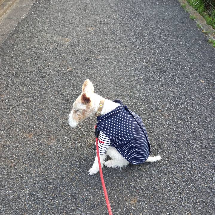 2c469d22 1cf5 4731 a538 f0b5fabbb4b5 1646953517822