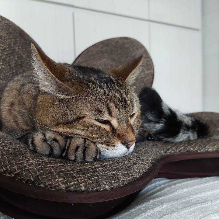 2c46bdbb 49eb 4d6f 86f8 8140aedd95f5 1731903716186