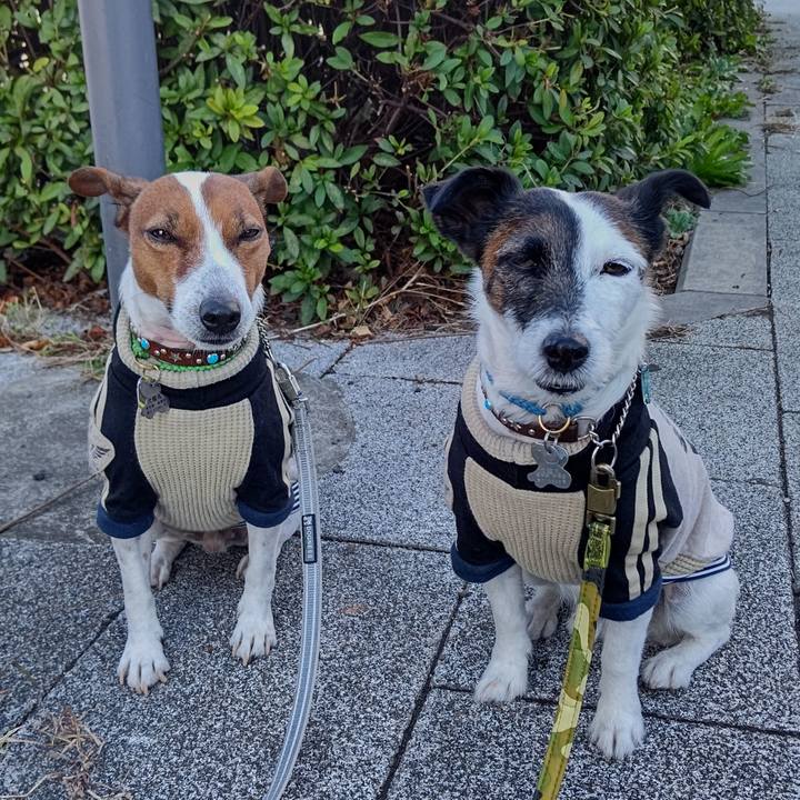 2c46cc19 0c62 49e4 b446 7159d9523e77 1667008131805