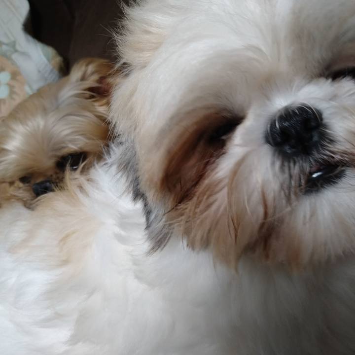 2c46d3f7 5622 494d 91d6 6bc89aa534d6 1604748489576