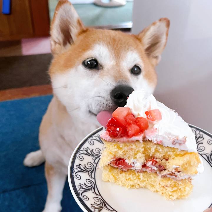 2c46df30 3431 445e 958a 89970144874f 1722499646691