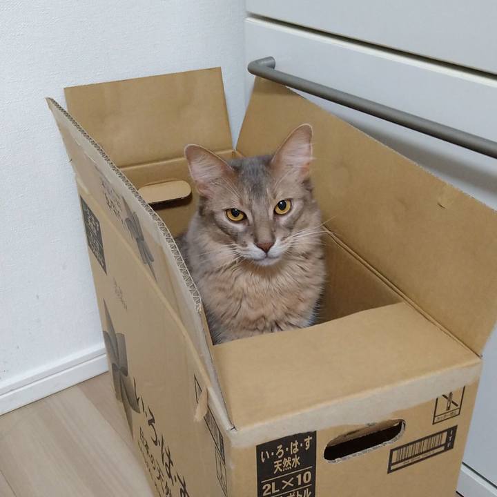 2c46e0a2 1fa6 4e7e 96a7 f17555954454 1594720921918