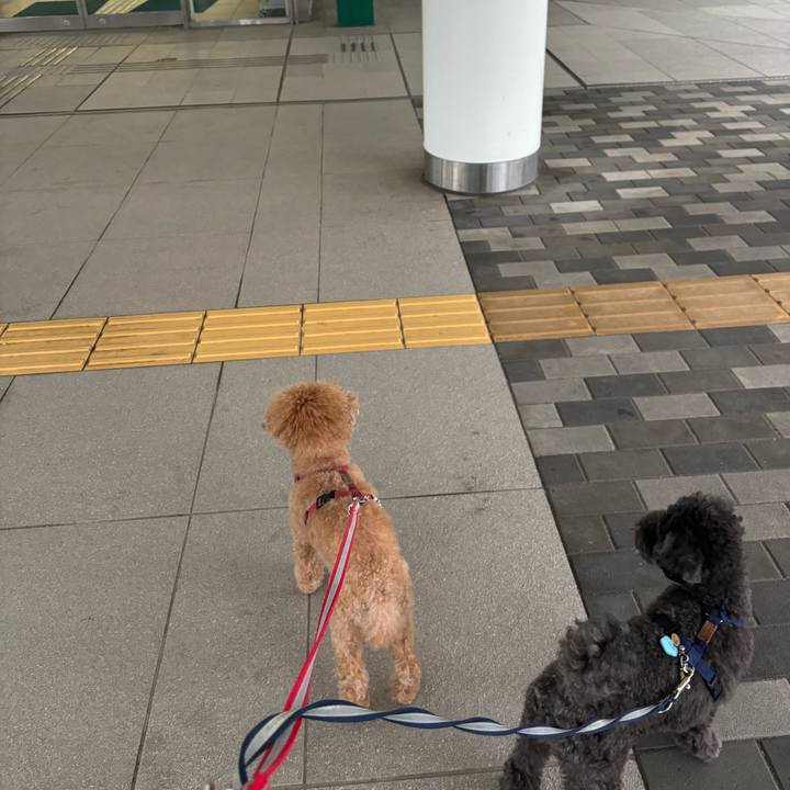 2c470071 b861 483b b1ec f907cf9f0c88 1730031568834