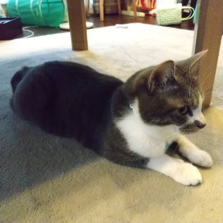 2c4700a4 0dd1 4bf0 8ef3 34f255b23ab6 1623897132142