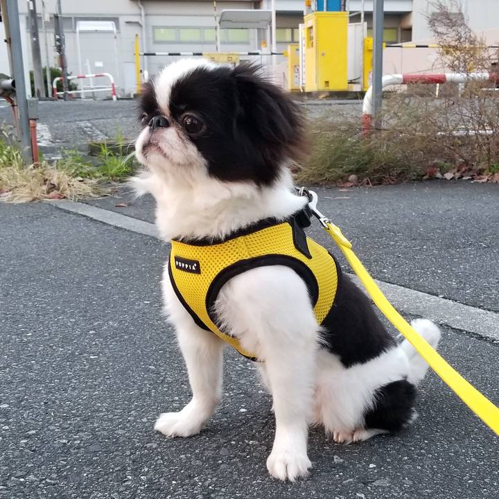 2c4714fa 7b8e 4022 a37f ff9cbaf2a04f 1636547948426