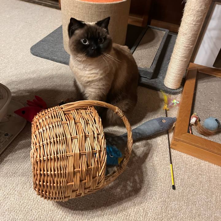 2c471f95 5cf8 48c6 b4ef 413e0570ceb6 1647392618570