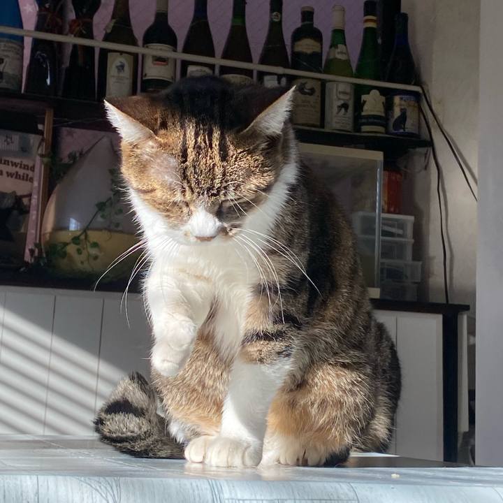 2c4773cf 1430 45c1 b47e eea7c1cb9672 1704502024651