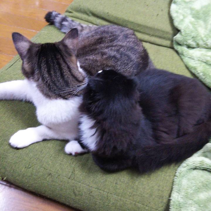 2c47742e c6ea 4c37 babc 751538939bf8 1644470957818