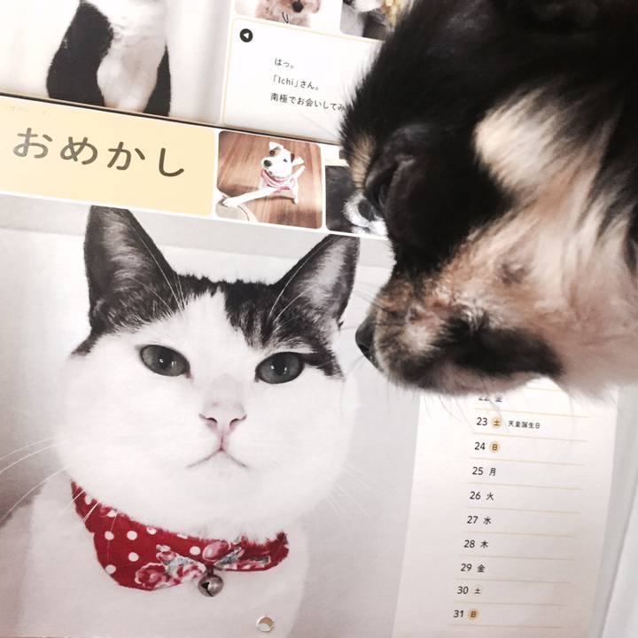 2c47fea6 eecf 4ced b269 53c7b0efa802 1512137627545