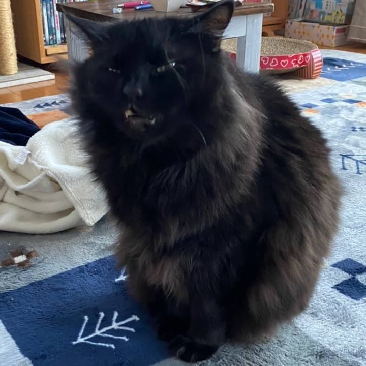 2c4815f5 43f4 419f bc94 9afc09a08ac5 1580129884675