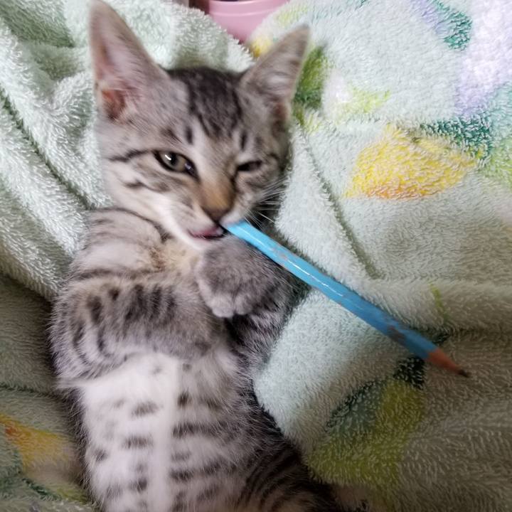 2c482c80 787d 4260 8672 4fb52f35e8e0 1664806878446