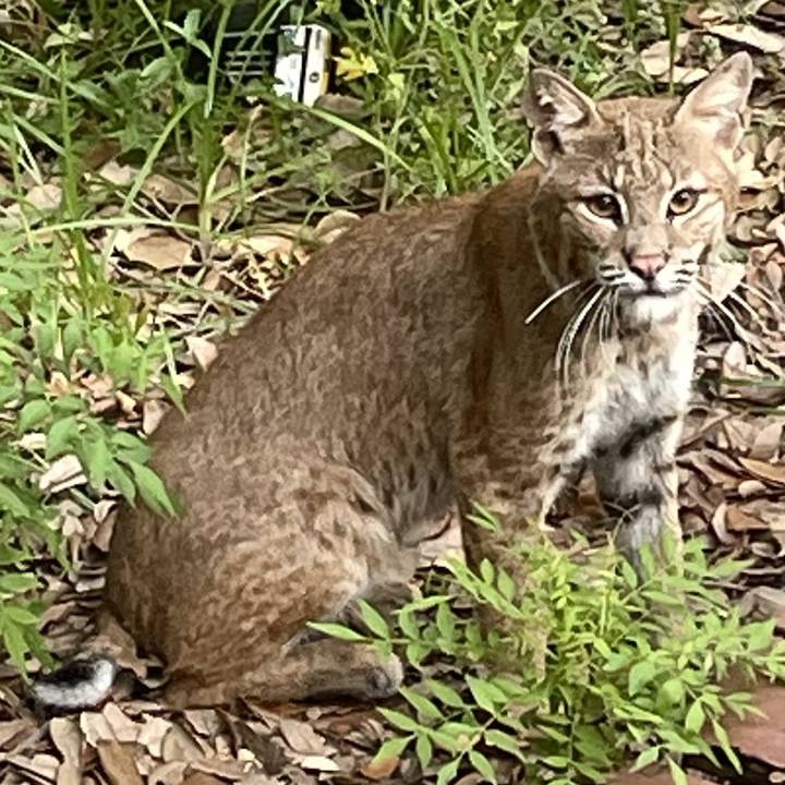 2c48304f c25a 4002 9af7 27a30396b931 1719026850333