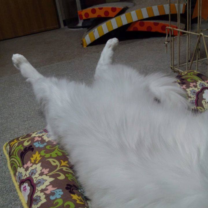 2c483f0b 01e2 4dbb 9362 902a26aefe31 1678401144672