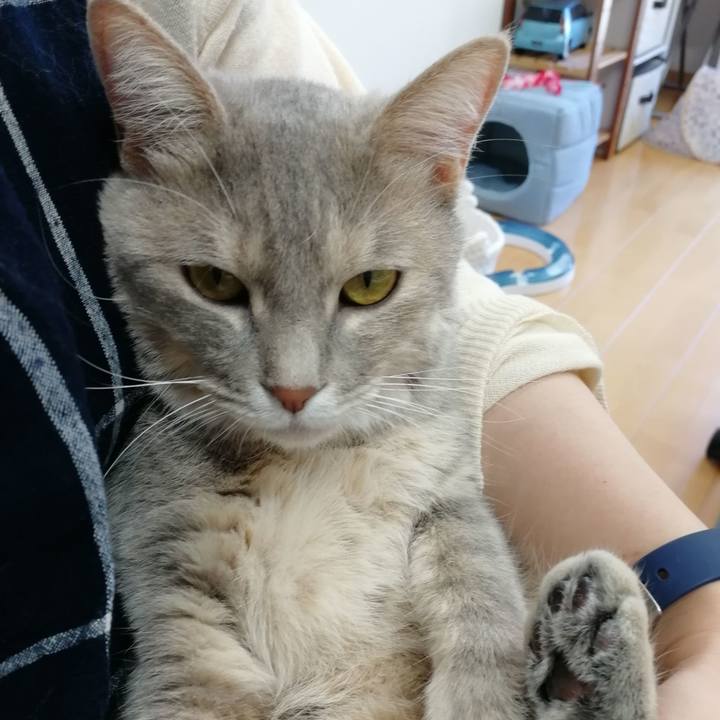 2c48485c 7376 4a96 bafb 6b74a23341c6 1532502770958