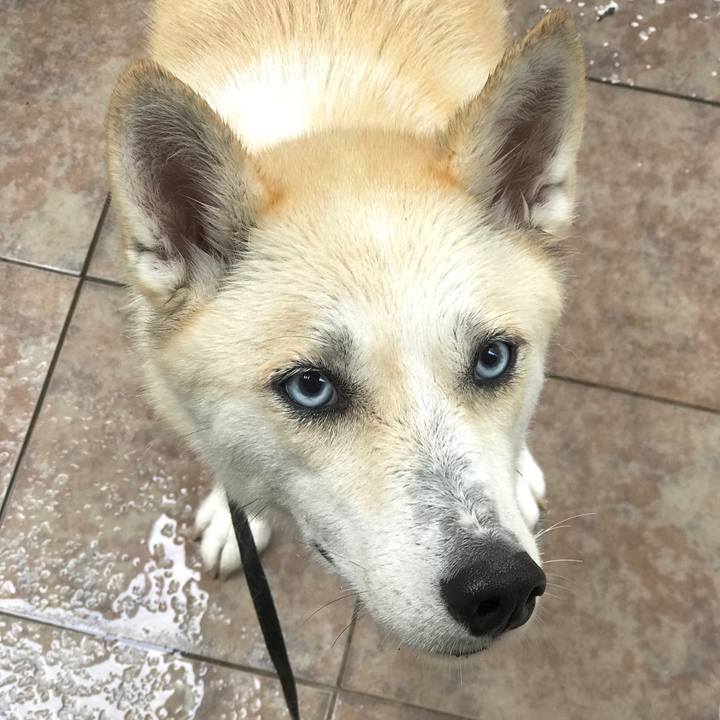 2c48e432 eee0 43ab bfd2 6baef6f4a844 1531099383296