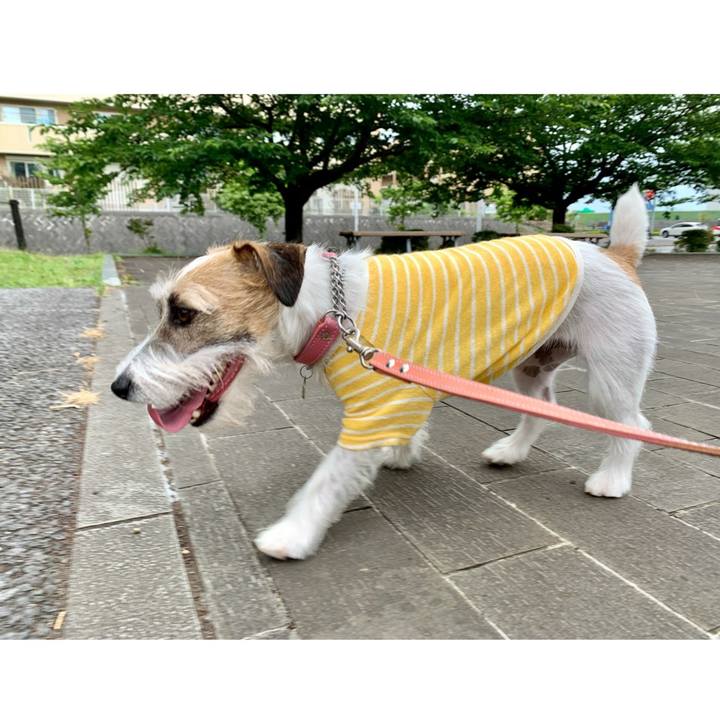 2c48f290 91d5 4887 876a d35ad9ce52ed 1624710005265