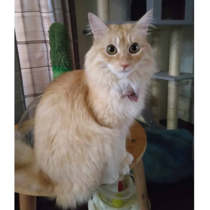 2c498f24 7ac7 4715 a7be f7481f458e8c 1691535002526