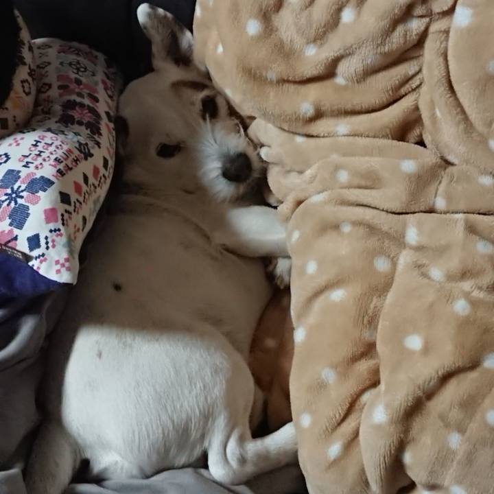 2c49a89c 73fe 47c8 8e80 d56407eedb0a 1553815242065