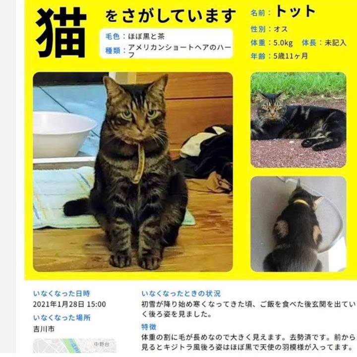 2c49bbcb 3f14 4c36 b95d 33f4ed312314 1633845493811