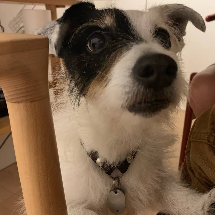 2c49c1e6 b651 4695 aa9f 398e01c53cc6 1716978421792