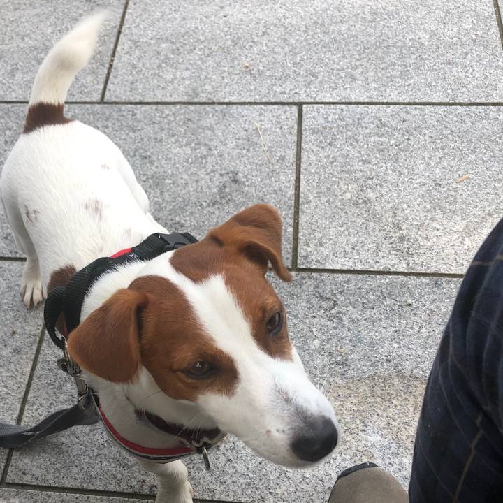 2c49dd27 ebac 4b7a afd6 6592663e4448 1555923075772