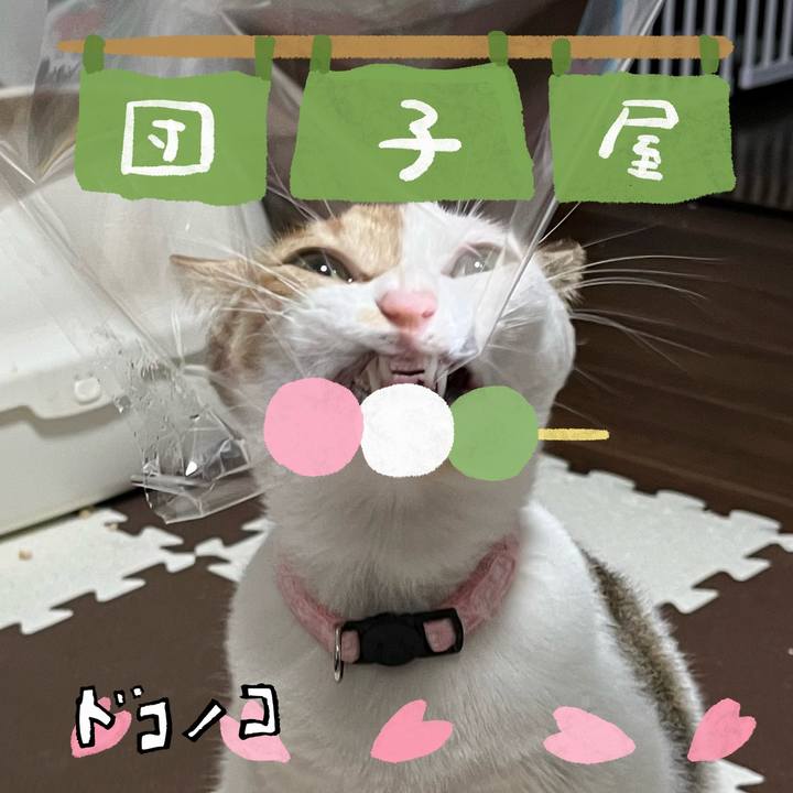 2c49eb6d 68d7 49c5 8d69 64c8dfac90b8 1712465425335
