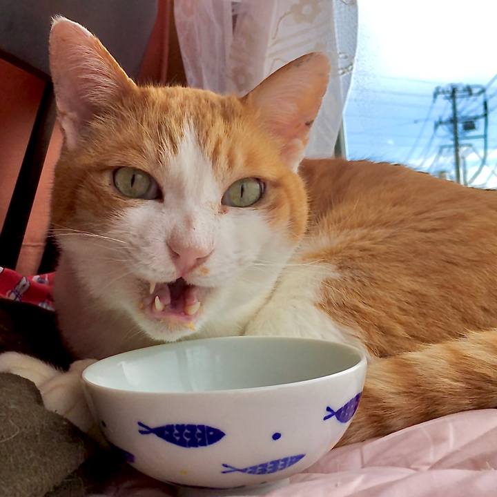 2c49f83b e377 41b2 9555 feaf8a36293c 1582005003474