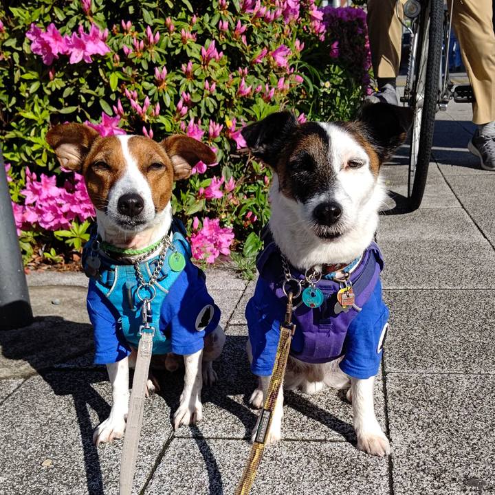 2c4a0600 cca9 4fa3 aa3f 4034923f2b45 1650581322417