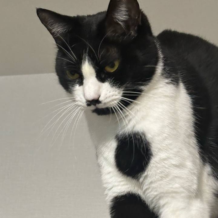 2c4a1c3d 7dbe 4b22 846d 26f18d19c0af 1766974741111