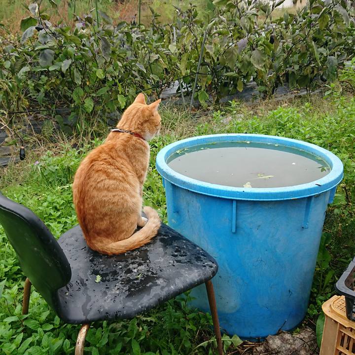 2c4a2e08 28d0 4c4e b668 77bf159e064d 1571470009266