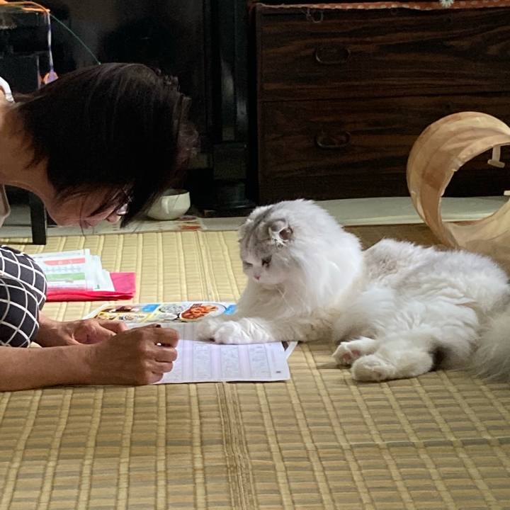 2c4a72f5 45fc 48dc b096 ca0624bc9ad7 1654594692926