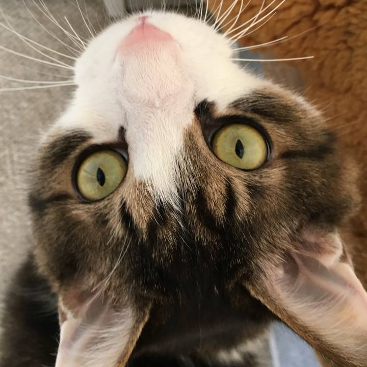 2c4ab33b 6fe5 45f9 b0f1 426aa871da65 1559967433202