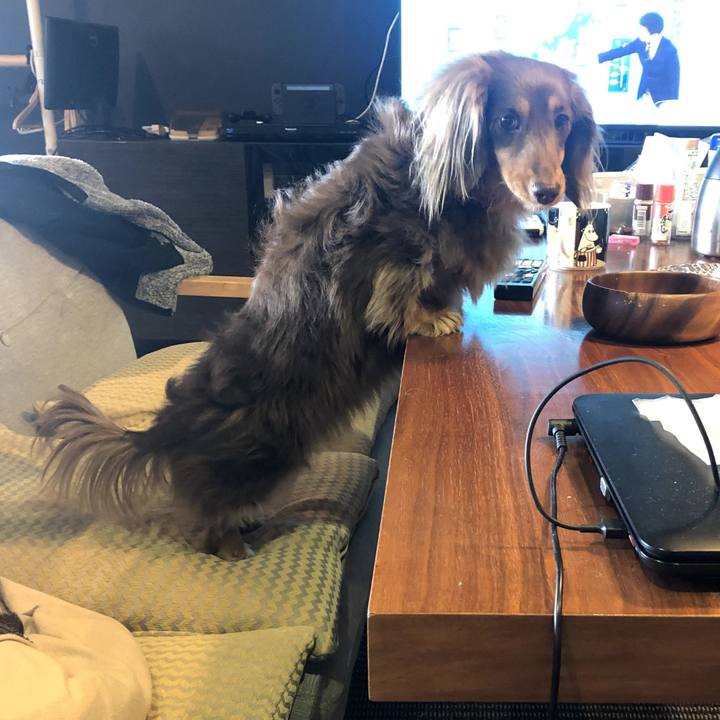 2c4acc73 8a1a 4cd9 9f35 e8656195b366 1581390141423