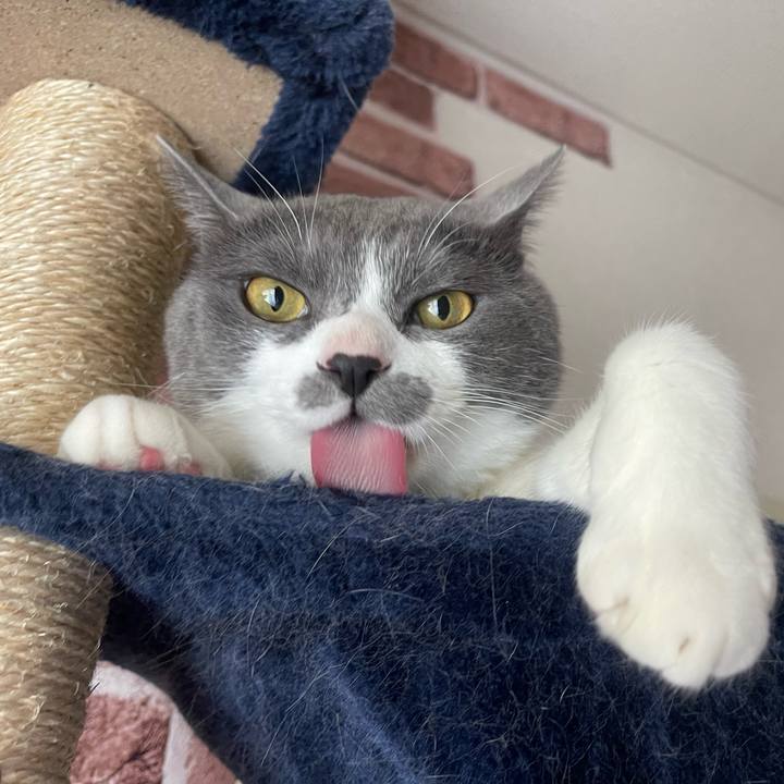 2c4b17bd 3302 484b 8cf8 109a45f496f5 1651535430639