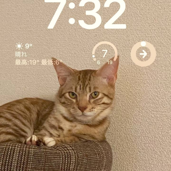 2c4b1b62 2948 41a0 9f15 435fb8a93b42 1678487574220