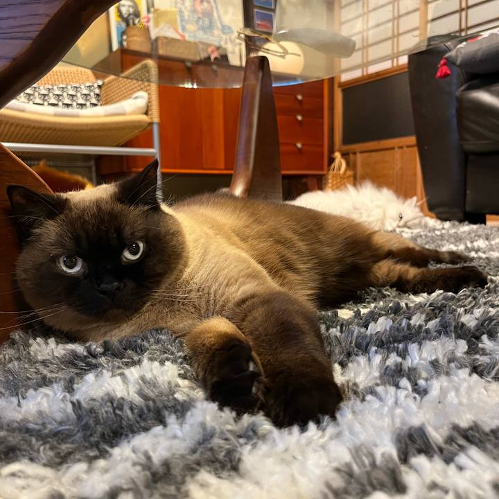 2c4b21cc 9375 4205 8b81 8be37d0f2015 1681641198520