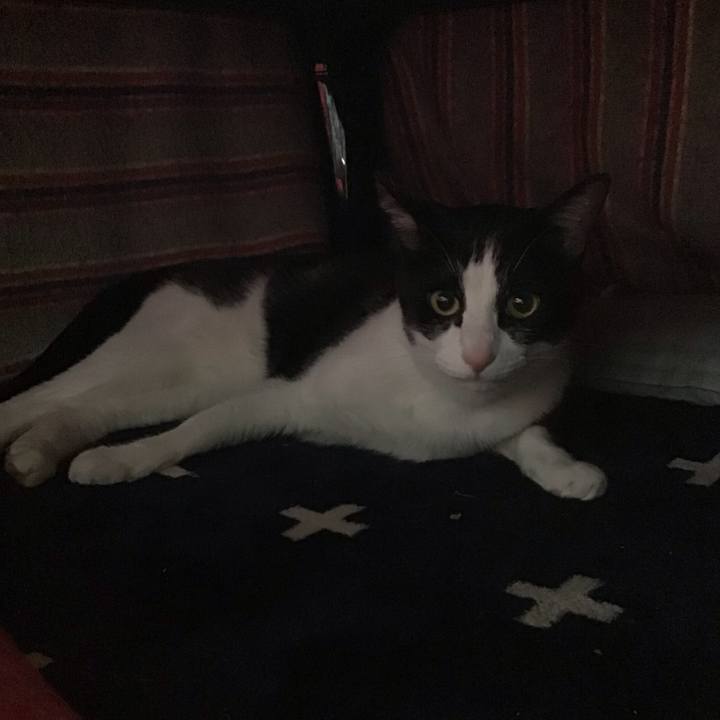 2c4b2405 b5b4 48b1 bfb3 669d166b0ea2 1714555152017