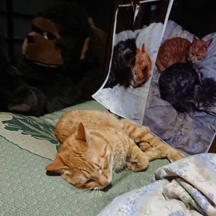 2c4b5ebc 7b47 46e2 b814 e4fef066aea0 1658406950735